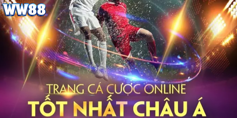 Hỗ trợ khách hàng chuyên nghiệp